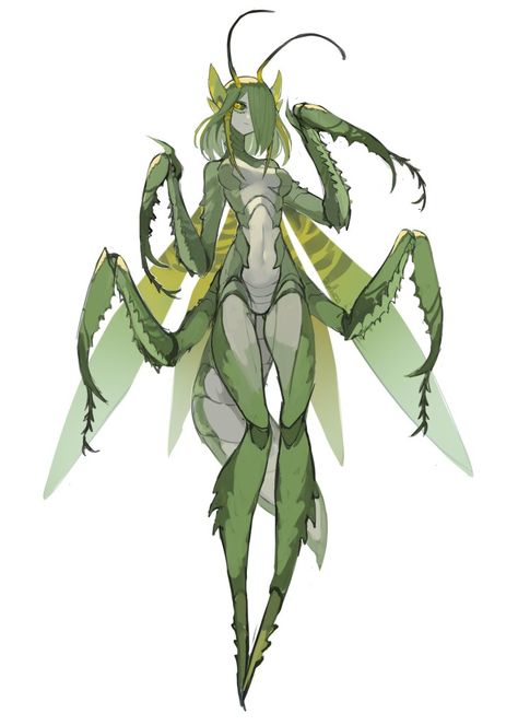 Bug Knight Fantasy Art, Dnd Bug Character, Bug Monster Art, Bug Lady Character Design, Bug Inspired Ocs, Bug Oc Art, Insect Girl Art, Human Bug Hybrid, Bohemian Character Design