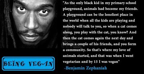 Benjamin Zephaniah Benjamin Zephaniah, Famous Vegans, Vegetarian Lifestyle, Spirit Soul, Life Is Precious, Vegan Inspiration, School Playground, People Of Interest, Vegan Lifestyle