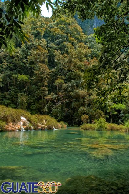 Guate360.com | Fotos de Semuc Champey - Pozas de agua cristalina en Semuc Champey, Coban Guatemala Coban, Quetzaltenango, Latin America, Semuc Champey, Guatemala City, Guatemala Travel, Packing List For Travel, Travel South, Beautiful Places To Travel