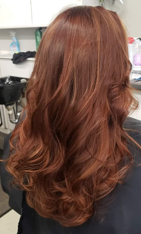 Copper Hair Inspo Aesthetic, Auburn Hair With Subtle Highlights, Hair Color Ideas For Gueritas, Copper Hair W Highlights, Hair Color Ginger Brown, Light Brunette Hair With Red Undertones, Ginger Hair On Brown Hair, Auburn With Lowlights, Hair Color Ideas For Mexicans