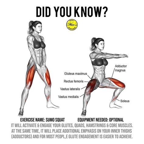 Soleus Exercises, Squat Benefits, Benefits Of Squats, Sumo Squats, Thigh Exercises, Leg Day, Core Muscles, Fitness Trainer, Leg Workout