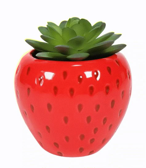 Target Is Selling $5 Succulent Plants and I Call Dibs On The Pineapple Cerámica Ideas, Clay Art Projects, Ceramics Ideas, Ceramic Ideas, Plant Pots, Dry Clay, Clay Pottery, Clay Projects, Air Dry Clay