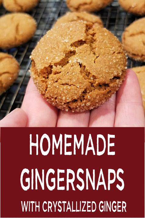 Ginger Snaps Recipe - Books, Cooks, Looks Vegan Vegetable Recipes, Ginger Snap Cookies Recipe, Ginger Snaps Recipe, Fall Dessert Recipes Easy, Italian Butter Cookies, Ginger Cookie Recipes, Recipe For Fall, Pumpkin Spice Recipe, Fall Desserts Easy