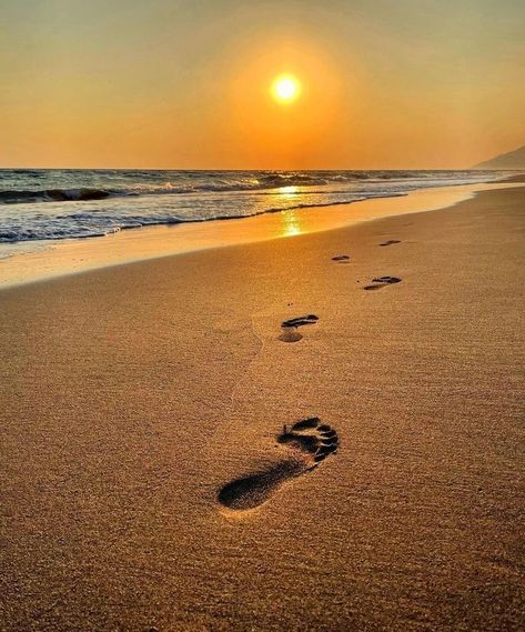 Beach Footprints, Footprints In Sand, Cruise Ship Pictures, Drawing Sunset, Eagle Images, Shotting Photo, Ocean Pictures, Beach Photography Poses, Ocean Wallpaper