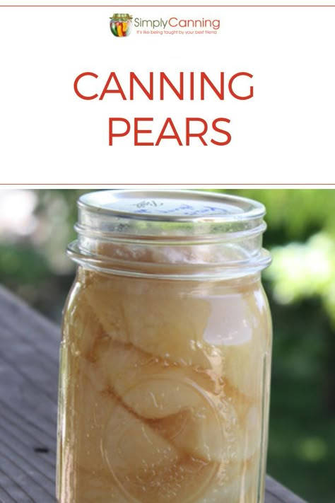 Canning pears is the perfect way to preserve your harvest! Garden Preservation, Homestead Tips, Canning Pears, Easy Canning, Pear Butter, Canned Pears, Canning Fruit, Pear Jam, Canning Vegetables