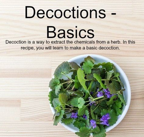 Learn how to extract the chemicals from herbs with this basic decoction recipe. #decoction #decoctionrecipe #herbs #bathandbody #extractchemicalsfromherbs #basicdecoction #craftbits Lip Balms, Make Your Own Soap, Spa Facials, Soap Tutorial, Melt And Pour Soap, Identify Plant, Soap Making Recipes, Lip Balm Recipes, Melt And Pour