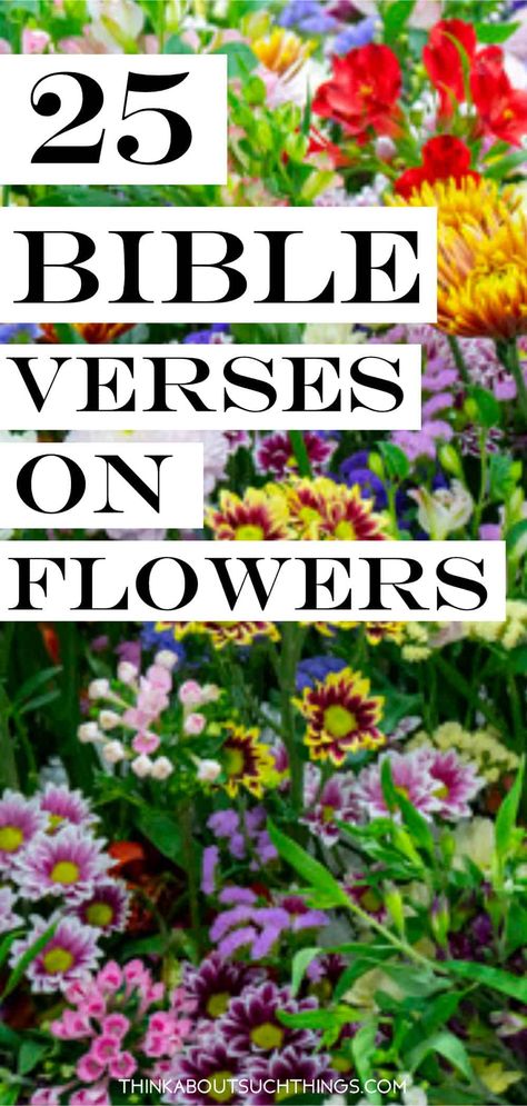 Spring Verses, Gods Flowers, Flower Scripture Tattoo, Bible Garden Ideas, Bible Flowers, Quotes About Flowers Inspirational, Biblical Flowers, Flower Verses Bible, Garden Bible Verses