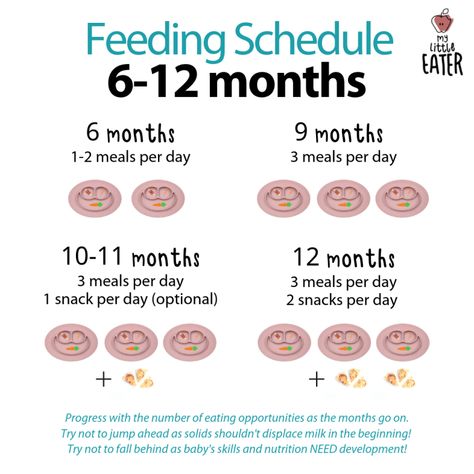 Feeding Schedules (6-12 months) - My Little Eater - Feel confident raising healthy little eaters Baby Food Guide, Baby Led Weaning First Foods, Baby Solid Food, Weaning Foods, Baby Led Feeding, Breastfeeding Baby, Eating Schedule, Baby Feeding Schedule, Baby Led Weaning Recipes