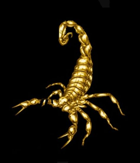 Gold Scorpion, Alien Pictures, Egypt Concept Art, Flower Tat, Scorpio Art, Scorpio Man, Jelly Wallpaper, Broken Screen Wallpaper, Bull Art