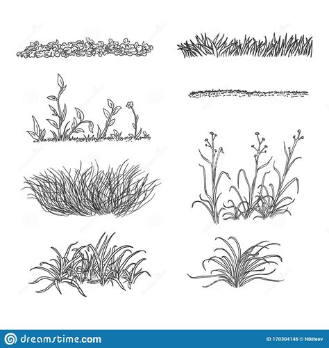 Dirt Path Drawing, Bush Drawing, Forest Sketch, Grass Silhouette, White Backround, Grass Drawing, Cartoon Silhouette, Plant Sketches, Plants Illustration