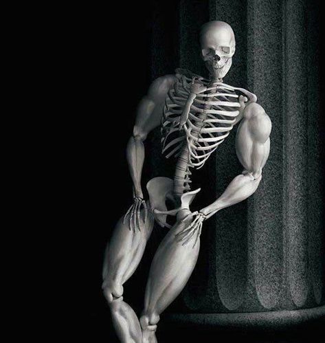 Skeleton Memes, Silly Skeleton, A Skeleton, Funny Reaction Pictures, Really Funny Pictures, What’s Going On, Funny Laugh, Reaction Pictures, Mood Pics