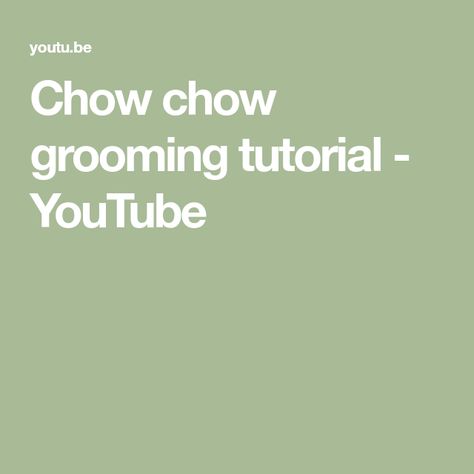 Chow chow grooming tutorial - YouTube Chow Chow Grooming Styles, Diy Labradoodle Grooming, Chow Chow Painting, Southern Chow Chow, Full Grown Chow Chow, Dog Grooming Diy, Grooming Tools, Chow Chow, Dog Grooming