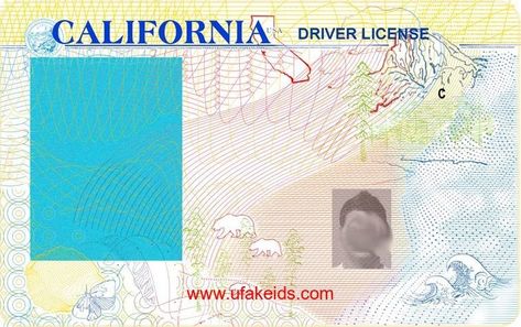 California Id Card, Id Template, Blank Id Cards, Passport Template, Money Template, Birth Certificate Template, California License, Passport Online, Driver License