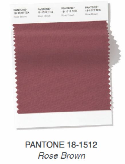 Pantone Rose Brown Pantone Rose, Summer Color Trends, Classic Blue Pantone, Zyla Colors, Pantone 2020, Summer Neutrals, Rosy Brown, Texture Photography, Rosé Brown