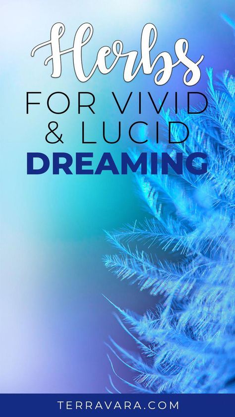 lucid dreaming meaning Dream Herbs Witchcraft, Lucid Dreaming Herbs, Vivid Dreams Art, Herbs For Lucid Dreaming, Herbs For Dreaming, Herbalist Medicine, Lucid Dream Aesthetic, Lucid Dream Herbs, Smokable Herbs