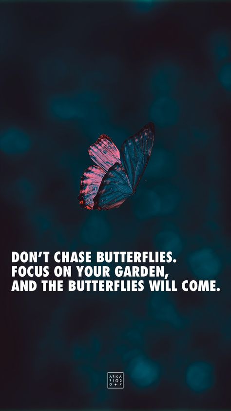 Quote, poster, blue, motivation, butterfly, arkarios07 Stop Chasing Butterflies, Dont Waste Your Time Chasing Butterflies, Don't Chase Butterflies, Chasing Butterflies Quotes, Dont Chase Butterflies, Don’t Waste Your Time Chasing Butterflies, Quotes With Butterfly Background, If You Spend Time Chasing Butterflies, Butterfly Aesthetic Quotes