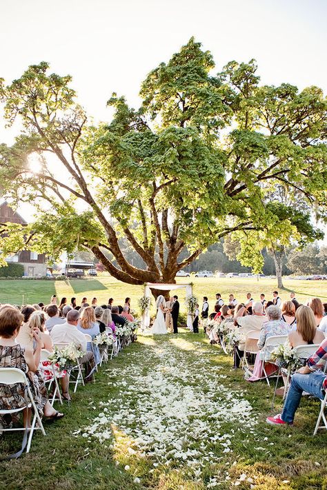 Oregon Wedding by Lauren Brooks Photography  Read more - http://www.stylemepretty.com/2011/05/10/oregon-wedding-by-lauren-brooks-photography/ Tiffany Blue Bridesmaids, Tiffany Blue Bridesmaid Dresses, Tree Wedding Ceremony, Deco Champetre, Wedding Arbour, Outside Wedding, Oregon Wedding, Tree Wedding, Trendy Wedding