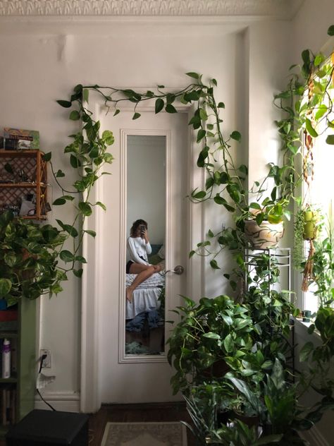 plant inspo trailing pothos plants Pothos Bedroom Decor, Minimal Plant Aesthetic, Plants On Wardrobe, Pothos Home Decor, Floor Plants Bedroom, Pothos Trailing Ideas, Rooms With Plants Aesthetic, Pothos Plant Aesthetic, Long Pothos Plant Decor Ideas