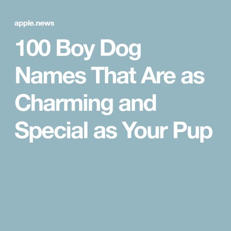 100 Boy Dog Names That Are as Charming and Special as Your Pup Puppy Names Boy Unique, Small Dog Names Boys, Best Dog Names Boys, Big Dog Names Male, Funny Dog Names Boy, Names For Dogs Boys, Strong Dog Names Male, Food Dog Names, Unique Dog Names Boy