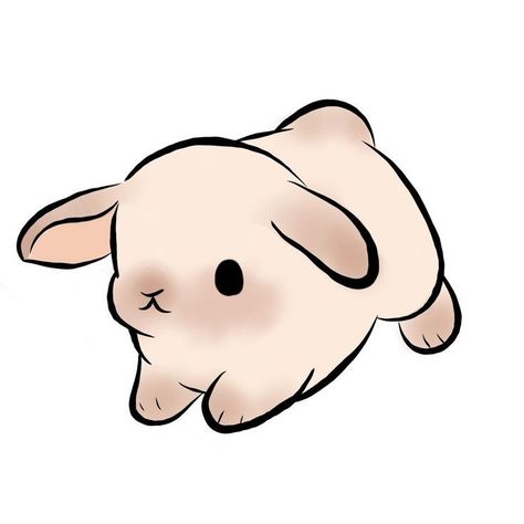 Anime Bunny Drawing, Cute Bunny Animation, How To Draw A Bunny Easy, Cute Animals Doodles, Doodles Sanrio, Bunny Cartoon Drawing, Cute Bunny Drawings, Chibi Rabbit, Cute Bunny Drawing