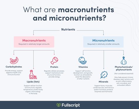 Macro Vs Micro Nutrients, Macro Micro Nutrients, Macronutrients And Micronutrients, Macro And Micro Nutrients, Micro Nutrients Food, Macros And Micros, Understanding Nutrition, Feminine Things, Track Diet