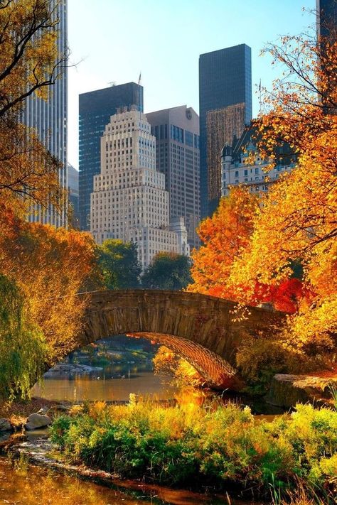 Foto Iphone, Fall In Nyc, New York Wallpaper, Nyc Fall, Autumn In New York, Nyc Life, New York Aesthetic, New York Life, New York City Travel