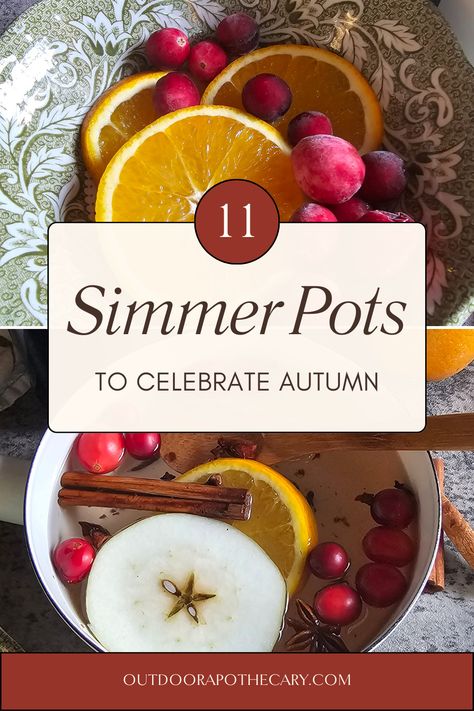 Discover why simmer pots are our favorite fall hack for a welcoming home. Learn how they work, their benefits, and get our favorite simmer pot recipes for a cozy home this autumn. #simmerpots #stovetoppotpourri Simmer Pots, Fall Pots, Potpourri Gift, Simmer Pot Recipes, Stove Top Potpourri, Simmering Potpourri, Potpourri Recipes, Simmer Pot, House Smell Good