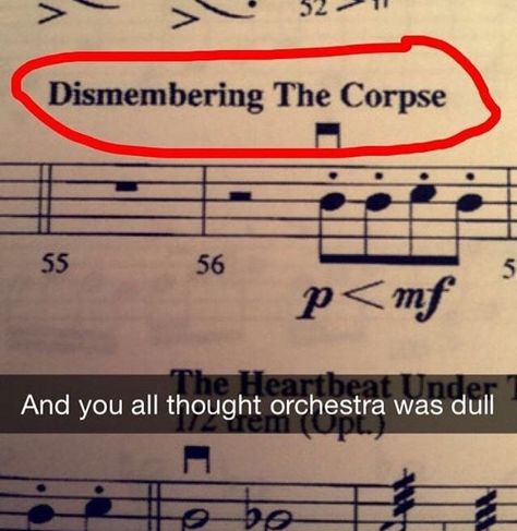 Orchestra Memes Funny, Band Kids Humor, Orchestra Jokes, Funny Band Jokes, Orchestra Humor, Musician Memes, Musician Jokes, Music Memes Funny, Band Funny