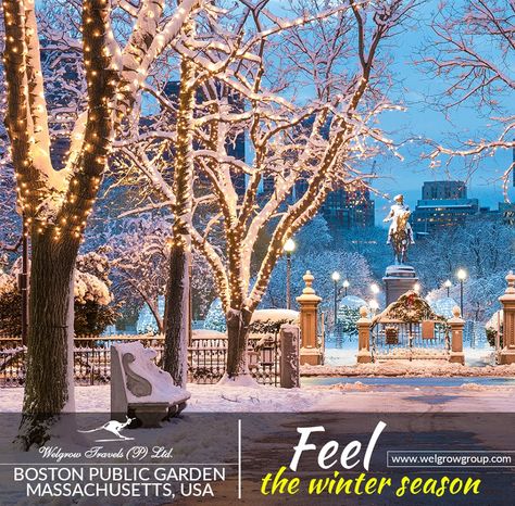 Let's explore with Welgrow Travels.  Feel the winter season  Celebrate the frolic of world's best Christmas celebrations at Boston with Welgrow Travels.  #welgrowtravel #welgrowgroup #traveling #travelers #travelbug #travelholic #boston #massachusetts #travel #photography #love #usa #instagood #bostonusa #winter #xmasfest2019 #bostonxmasfest #bostonchristmasfestival #followingboston #city #picoftheday #christmas4you #Christmastime Boston Aesthetic, Boston Winter, Boston Poster, Boston Vacation, Winter Drawings, Massachusetts Travel, Boston Public Garden, Visiting Boston, Boston Travel