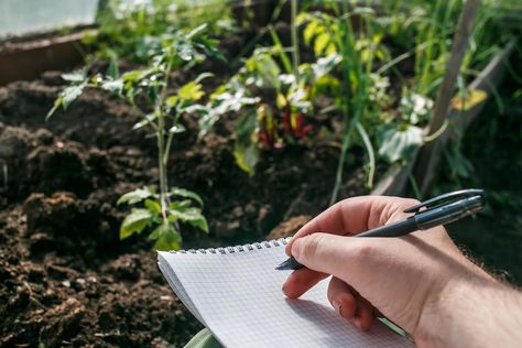 March Garden Checklist Zones 6-8 | Kellogg Garden Organics™ Garden Checklist, Garden Prepping, List Of Vegetables, Dog Washing Station, Black Thumb, Photo Sleeve, Plant Tags, Dog Wash, Plant Labels