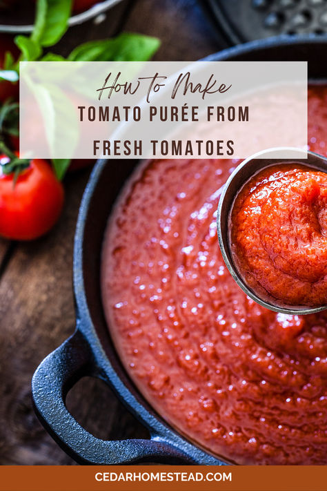 Making tomato purée from fresh tomatoes is so simple. But what is between tomato purée? This blog posts discusses tomato purée vs sauce, tomato purée vs passata, tomato purée vs strained tomatoes, and even discusses frozen tomato purée and how to properly store it and use it. Homemade Tomato Puree, Freezing Tomatoes, Tomato Puree, Simple Farmhouse, What Is, Savory Sauce, Plum Tomatoes, Roma Tomatoes, Fresh Tomatoes