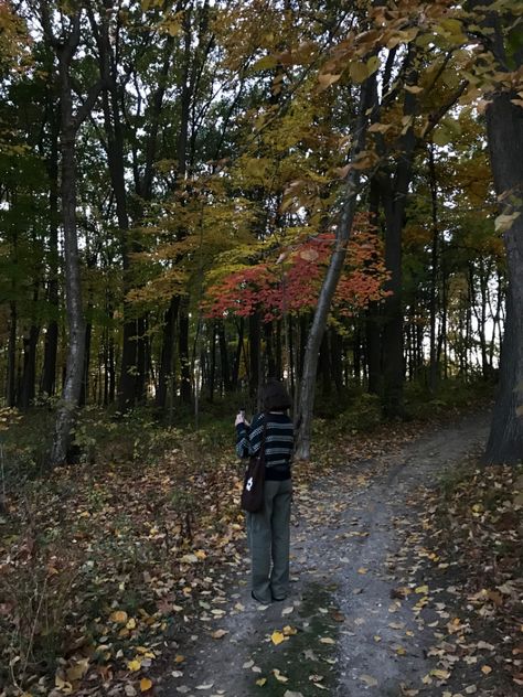 October Core Aesthetic, Autumn Aesthetic Green, Emo Autumn, Indie Fall Aesthetic, Grungy Fall Aesthetic, Autumn Grunge Aesthetic, 70s Fall Aesthetic, Grudge Aesthetics Fall, Fall Forest Aesthetic