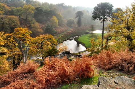 https://flic.kr/p/aFWKVB | Autumn at Bradgate Park Leicester England, Park Pictures, Leicester City, City Centre, Reference Images, Leicester, All Pictures, Stuff To Do, Gate