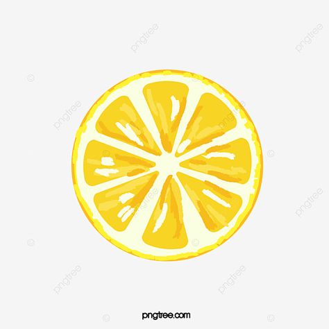 Sliced Lemon Drawing, Cartoon Lemon Slice, Citrus Drawing Simple, Painted Lemon Slice, Lemon Slice Illustration, Lemon Cartoon Drawing, Lemon Vector Illustration, Fruit Slice Drawing, Cute Lemon Drawing