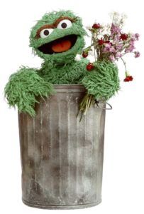 Sesame Street Muppets, Street Pictures, Bert & Ernie, Blank Background, Kin List, Sesame Street Characters, Fraggle Rock, Character Images, Oscar The Grouch