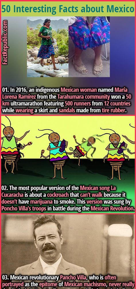 Cockroach Funny, Fun Facts About Mexico, Mexico Country, Funny Song, Fact Republic, Learning Spanish Vocabulary, Mexico History, Mma Training, Mexican Women