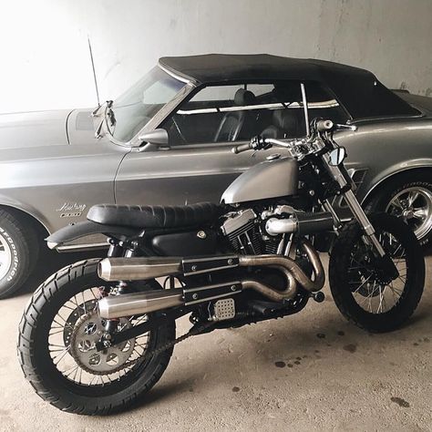 Harley Scrambler, Sportster Scrambler, Sportster Cafe Racer, Harley Davidson Scrambler, Motorcycle Baby, Hd Sportster, Custom Motorcycles Bobber, Sportster Bobber, Victory Motorcycles