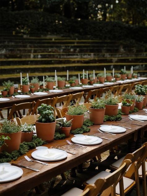 Terracotta Table Centerpiece Wedding, Herbs As Centerpieces Wedding, Terra Cotta Pots Wedding Centerpieces, Terra Cotta Pots Centerpieces Table Decorations, Terra Cotta Pot Tablescape, Herbs As Centerpieces, Propagated Plant Centerpiece, Potted Herbs Wedding, Herbs In Terra Cotta Pots