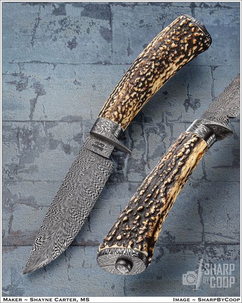 I submit to you 'BEST Hunter' @ShayneCarterKnives MS. Shayne is respected by all, and turns heads with his building skills. A he should. Popcorn Stag: 4.5" / 10" OAL Unbridled talent! Knife Photography, Hunter Knife, Black Smithing, Knife Design, Handmade Knives, Blacksmithing, Popcorn, Pocket Knife, Handles