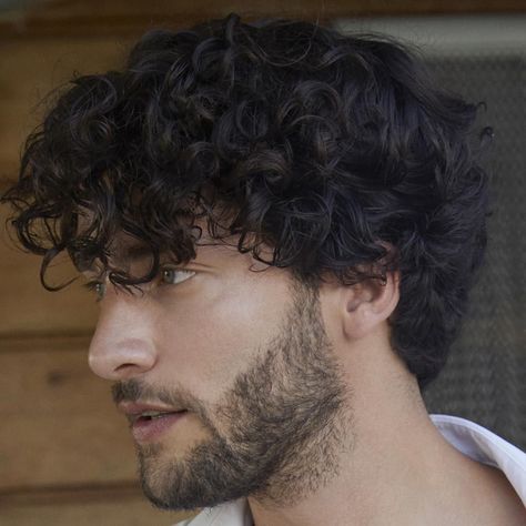 Mens Short Curly Hairstyles, Long Curly Hair Men, Curly Beard, Mens Hairstyles Curly, Men's Curly Hairstyles, French Crop, Male Haircuts Curly, Men Haircut Curly Hair, Mid Fade