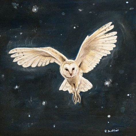 Hogwarts Academia, Journal Embroidery, Owl Goddess, Owls In Flight, Owl Aesthetic, Catherine Rayner, God Of The Moon, Beth Briggs, Anne Keenan Higgins