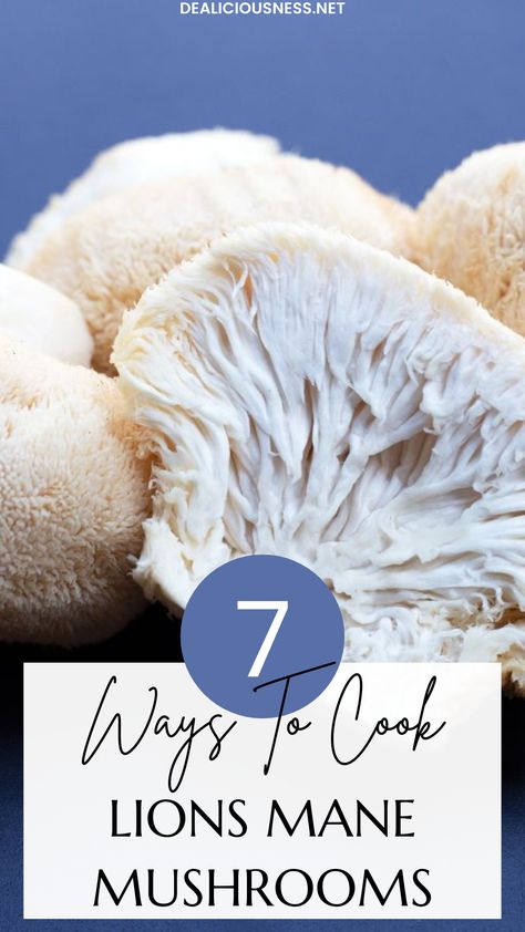 How To Cook Lions Mane Mushrooms Recipes, How To Cook Lions Mane, Lions Mane Mushroom Recipe Breakfast, Lions Mane Vegan Recipe, Recipes With Lions Mane Mushrooms, Lions Mane Mushroom Recipes, Lion Main Mushrooms, How To Cook Lions Mane Mushrooms, Lions Main Mushroom Recipes