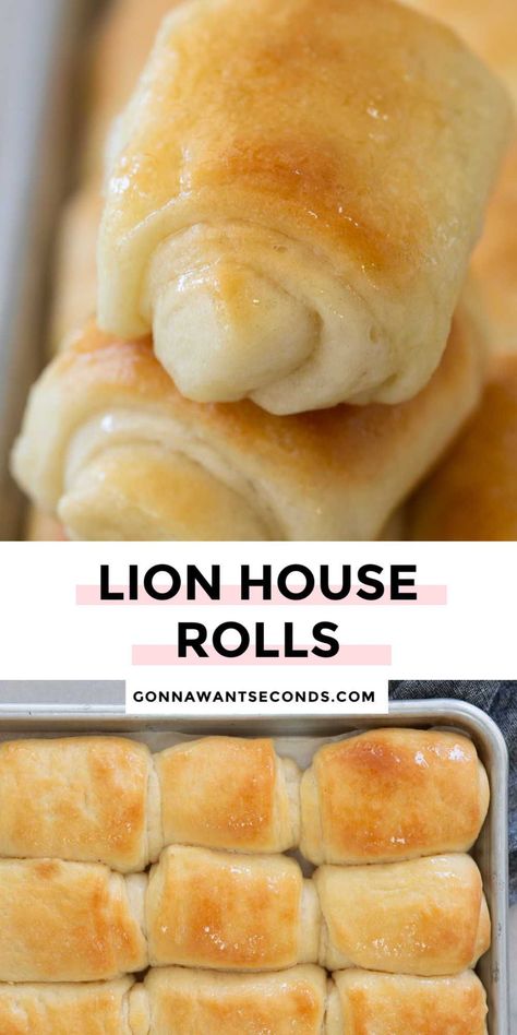 *NEW* These lion house rolls recipe video are tender, soft, and lusciously buttery. They just may be the BEST homemade dinner rolls and they’re always a family favorite! #dinnerrolls #breadrolls #lionhouserolls Indulgent Dinner, Lion House Rolls, Butter Rolls, Rolls Bread, Lion House, Baking Breads, Homemade White Bread, Bread Rolls Recipe, Dinner Roll