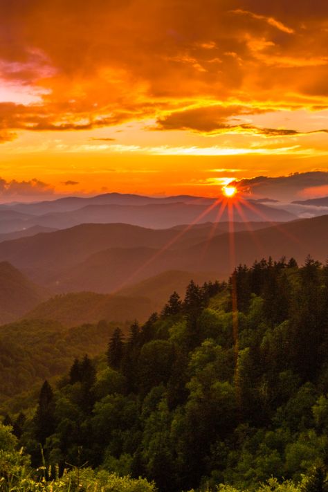 North Carolina Mountains, Sunrise Tattoo, Sunrise Mountain, Everything Now, Sunset Hills, Carolina Mountains, Forest Sunset, Sunset Rose, Jackson County