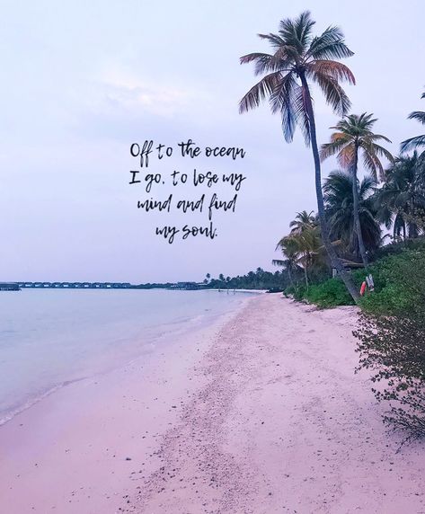 🏖🥰☀️ #maldives #beachlife #coconuttree Maldives Quotes, Beachy Sayings, Beachy Quotes, Beach Life Quotes, Eeyore Quotes, Salty Soul, Sea Quotes, Beach Therapy, Vibe Quote