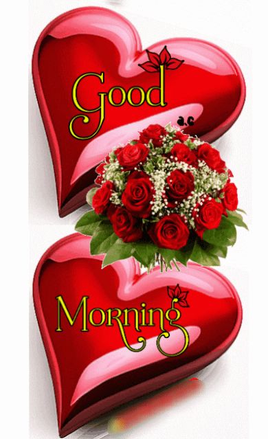 Good Morning Rose Images, Good Morning Love Gif, Lovely Good Morning Images, Good Morning Flowers Rose, Good Morning Beautiful Gif, Good Morning Sweetheart Quotes, Good Night Flowers, Good Morning Flowers Quotes, Good Morning Roses