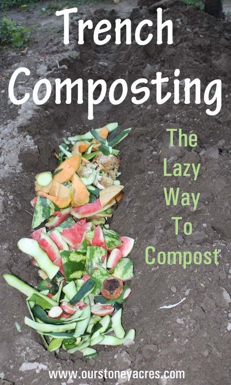 Trench Composting - The lazy mans composting method - Our Stoney Acres Composting 101, Composting Methods, How To Compost, How To Make Compost, Composting At Home, Organic Vegetable Garden, Garden Compost, Organic Garden, Organic Gardening Tips