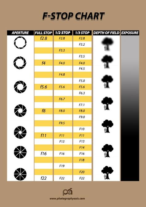 F stop Chart (Aperture Stop Chart) Explained - PhotographyAxis Aperture Priority Cheat Sheet, Aperture Depth Of Field, F Stop, Aperture Photography, Chart Infographic, Photography Settings, Storm Photography, Photography Cheat Sheets, Photographs Of People