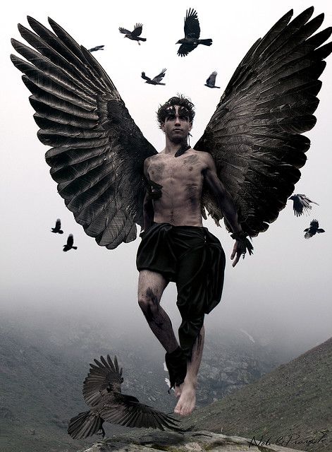 El hijo de Raven (Raven’s son) by Noli & Provoste on Flickr. ~CORVUS "NERVERMORE"~ Male Angels, Ange Demon, Black Wings, Angel Pictures, Foto Art, Angels And Demons, Dark Angel, Fairy Angel, Angel Art