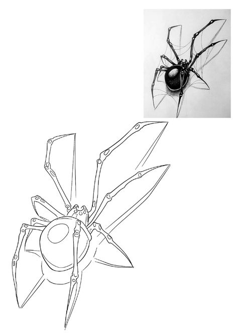 Spider Theme Tattoo, Black Widow Spider Tattoo Stencil, Spider Stencil Tattoo, Realistic Spider Drawing, Spider Tattoo Drawing, How To Draw A Spider, Spider Drawing Sketches, Spider Tattoo Stencil, Spider Outline